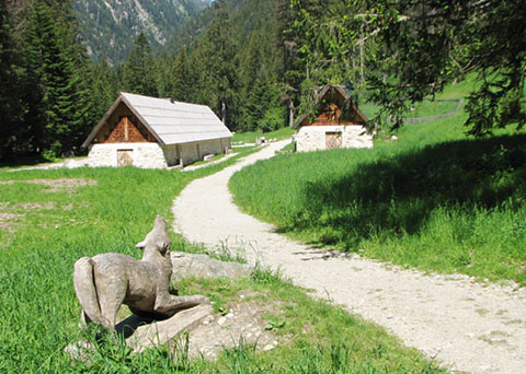 Parc Alpha Mur d'escalade